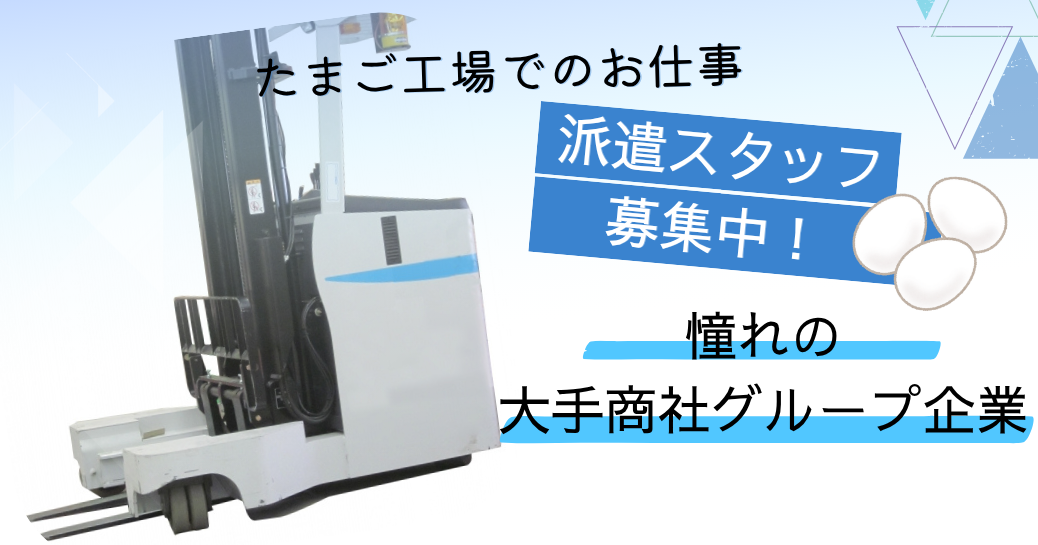 派遣社員 軽作業（梱包・仕分け・その他） 物流・倉庫の求人情報イメージ1